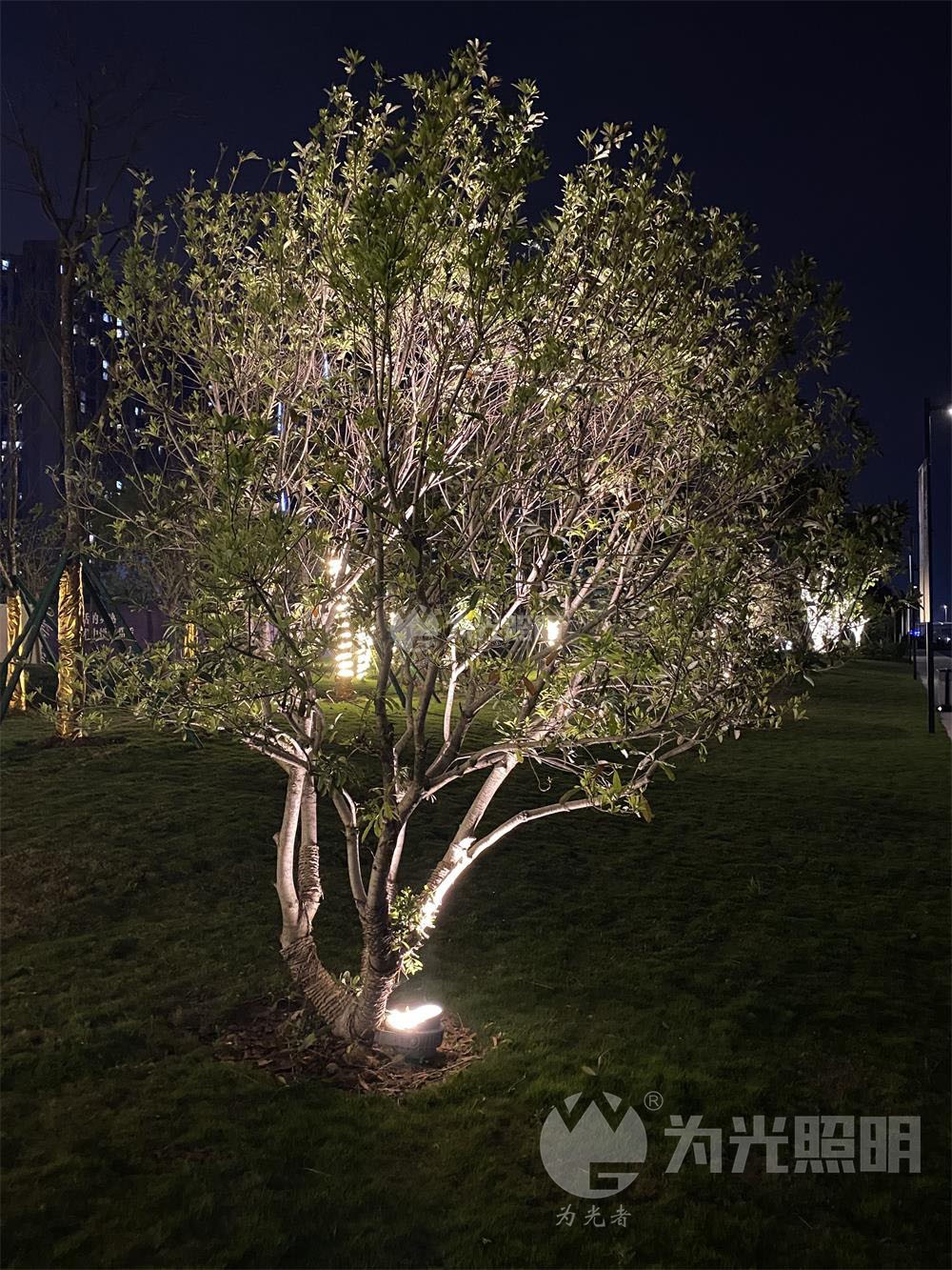 LED瓦楞燈,窗臺燈,LED照樹燈,步道燈, LED投光燈,洗墻燈,LED地埋燈,水底燈,LED線條燈,星空燈,首選江門為光照明