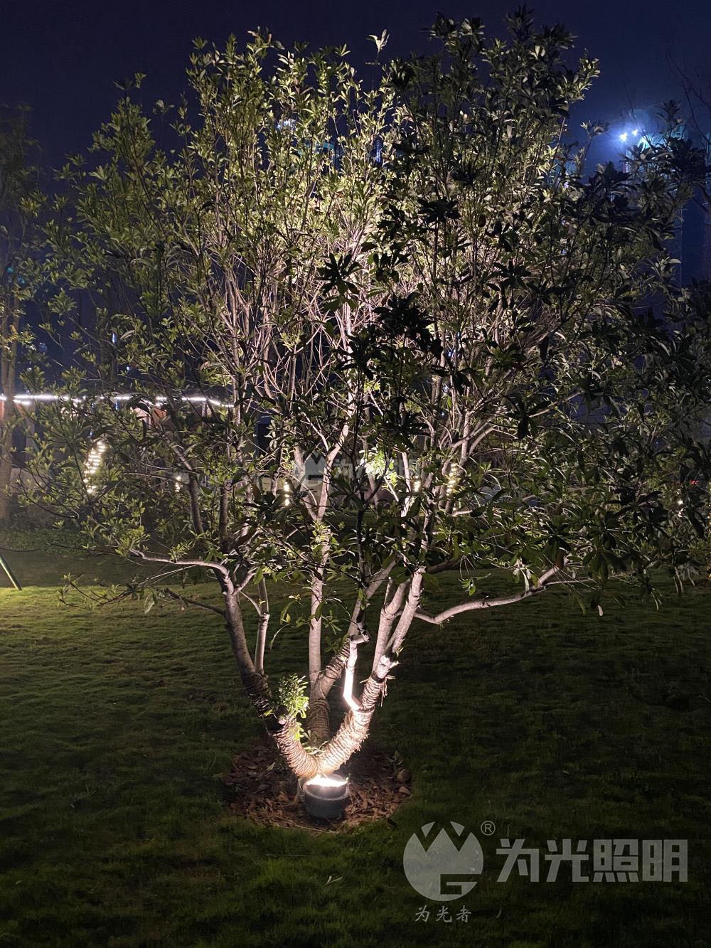 LED瓦楞燈,窗臺燈,LED照樹燈,步道燈, LED投光燈,洗墻燈,LED地埋燈,水底燈,LED線條燈,星空燈,首選江門為光照明